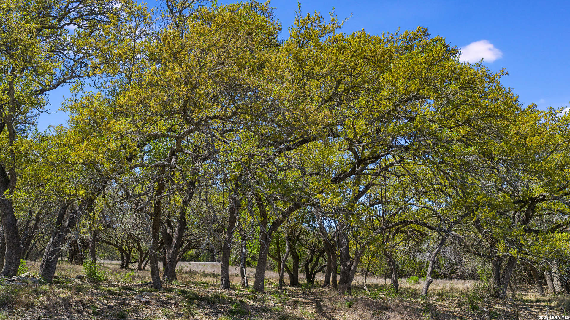 16 Lewis Road Boerne TX 78006