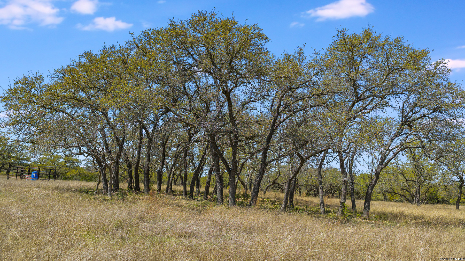 16 Lewis Road Boerne TX 78006
