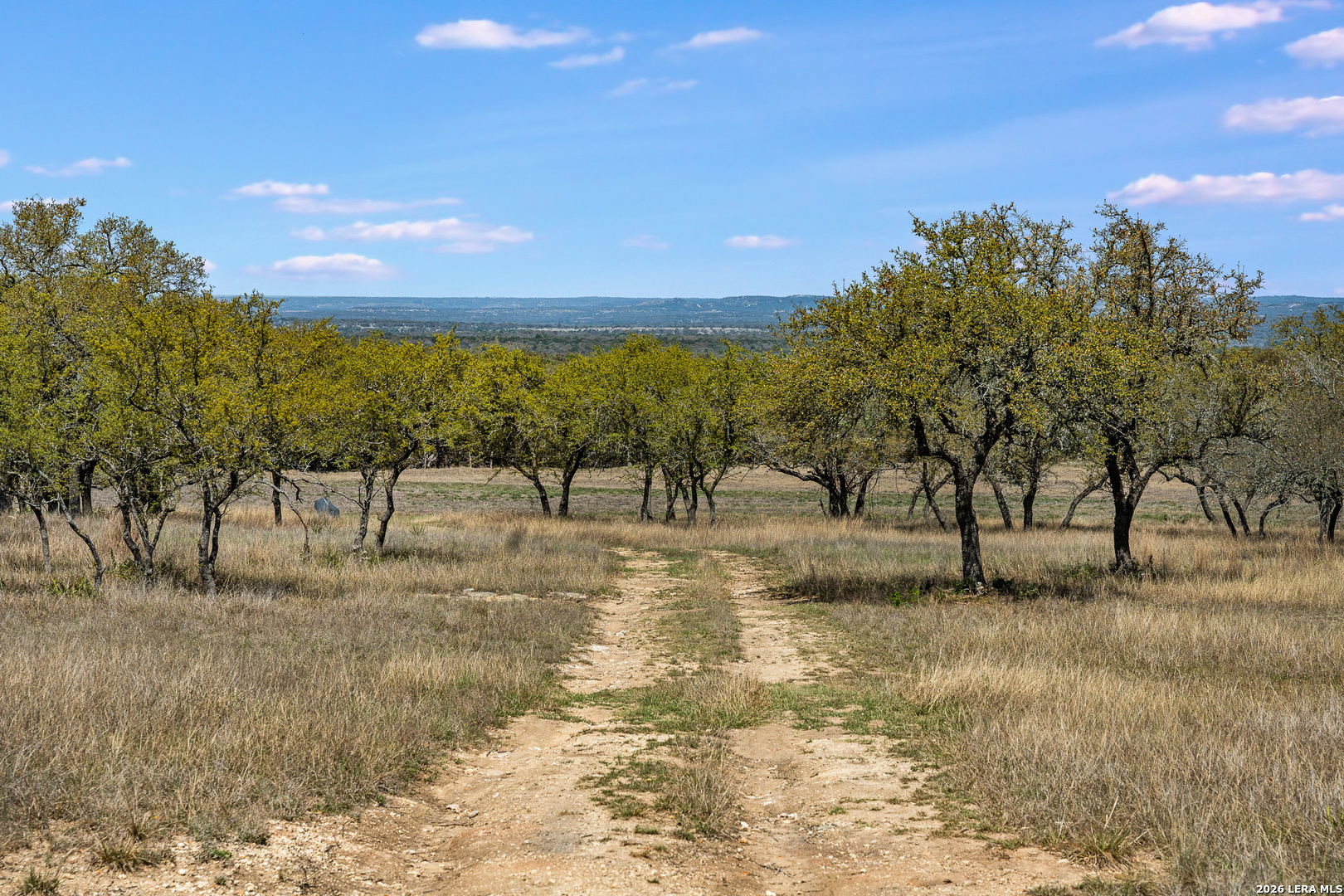 16 Lewis Road Boerne TX 78006