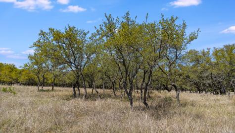 16 Lewis Road Boerne TX 78006