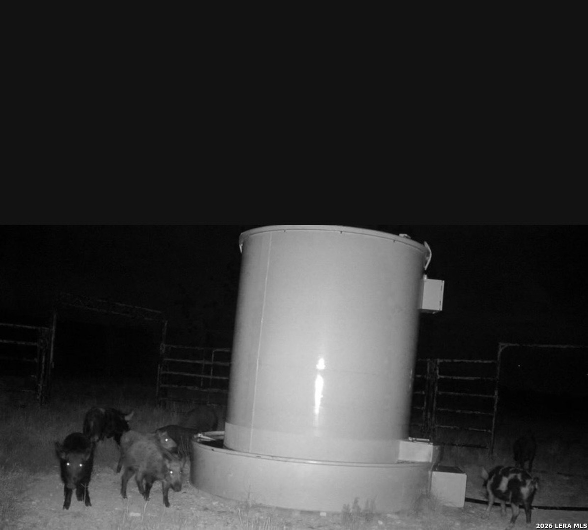 16 Lewis Road Boerne TX 78006