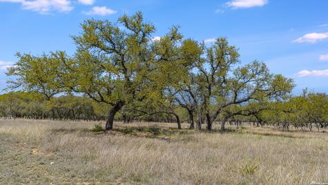 16 Lewis Road Boerne TX 78006