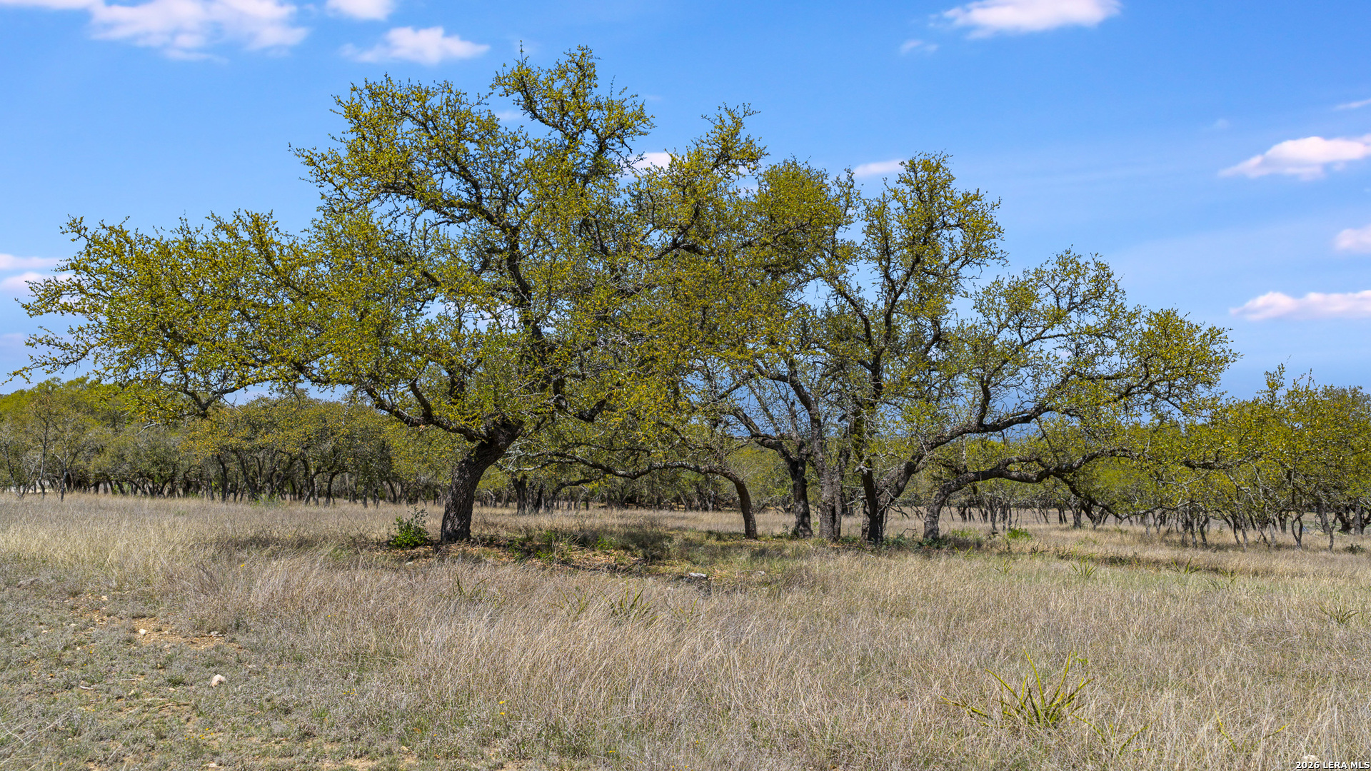 16 Lewis Road Boerne TX 78006