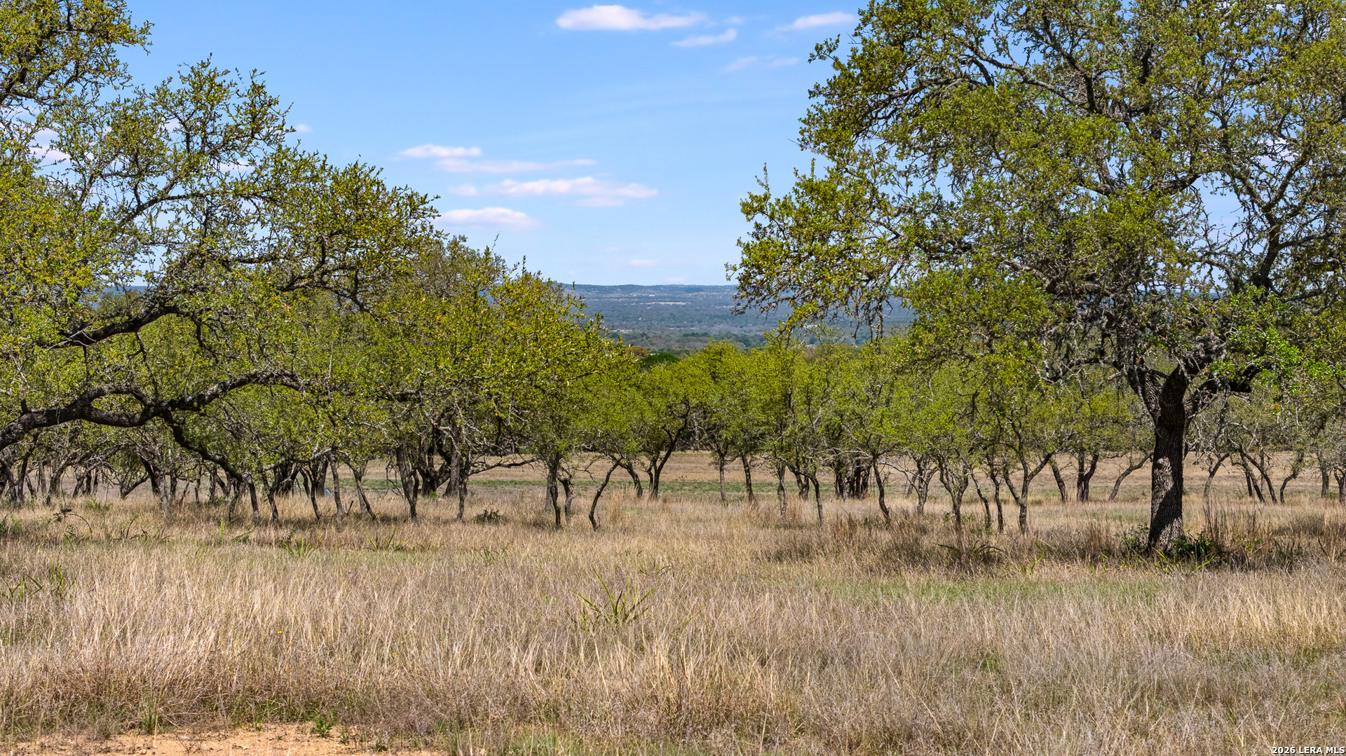 16 Lewis Road Boerne TX 78006