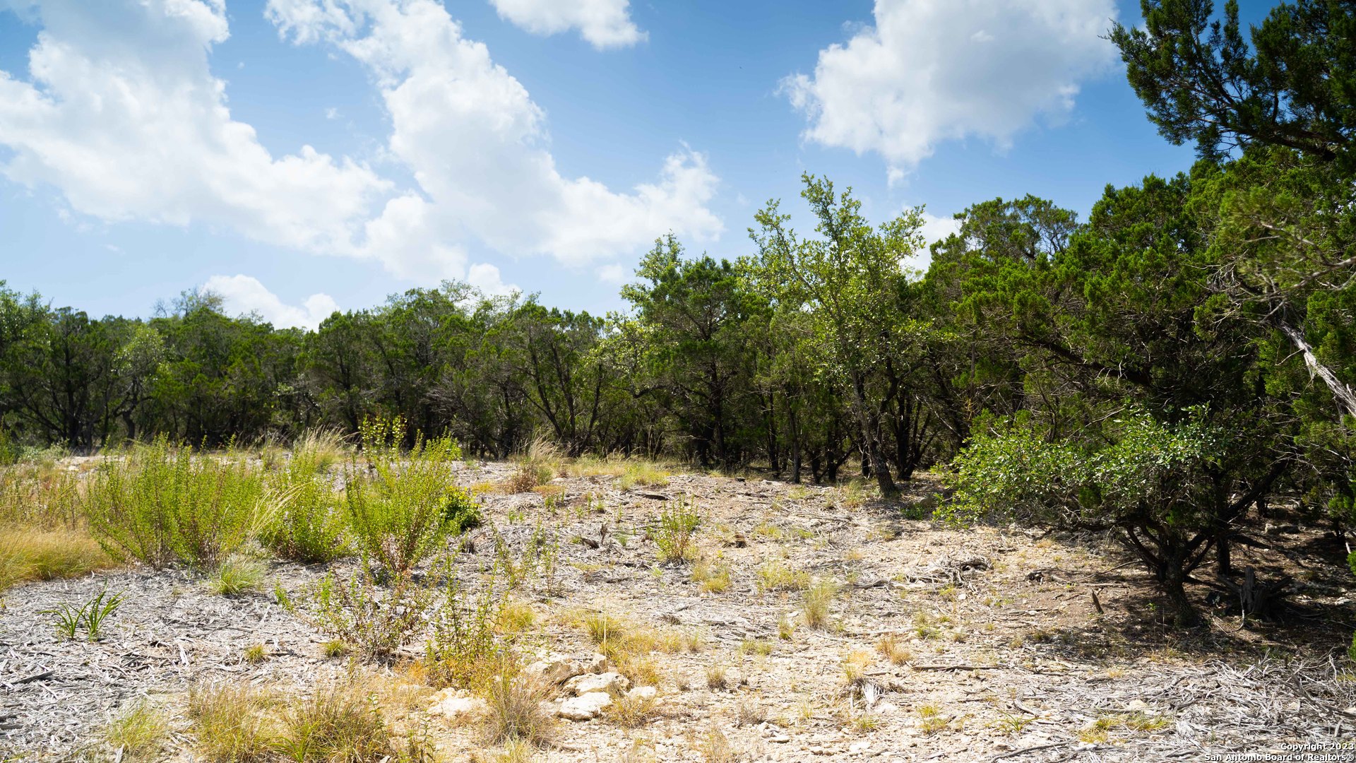 66 Winton Ridge Helotes TX 78023