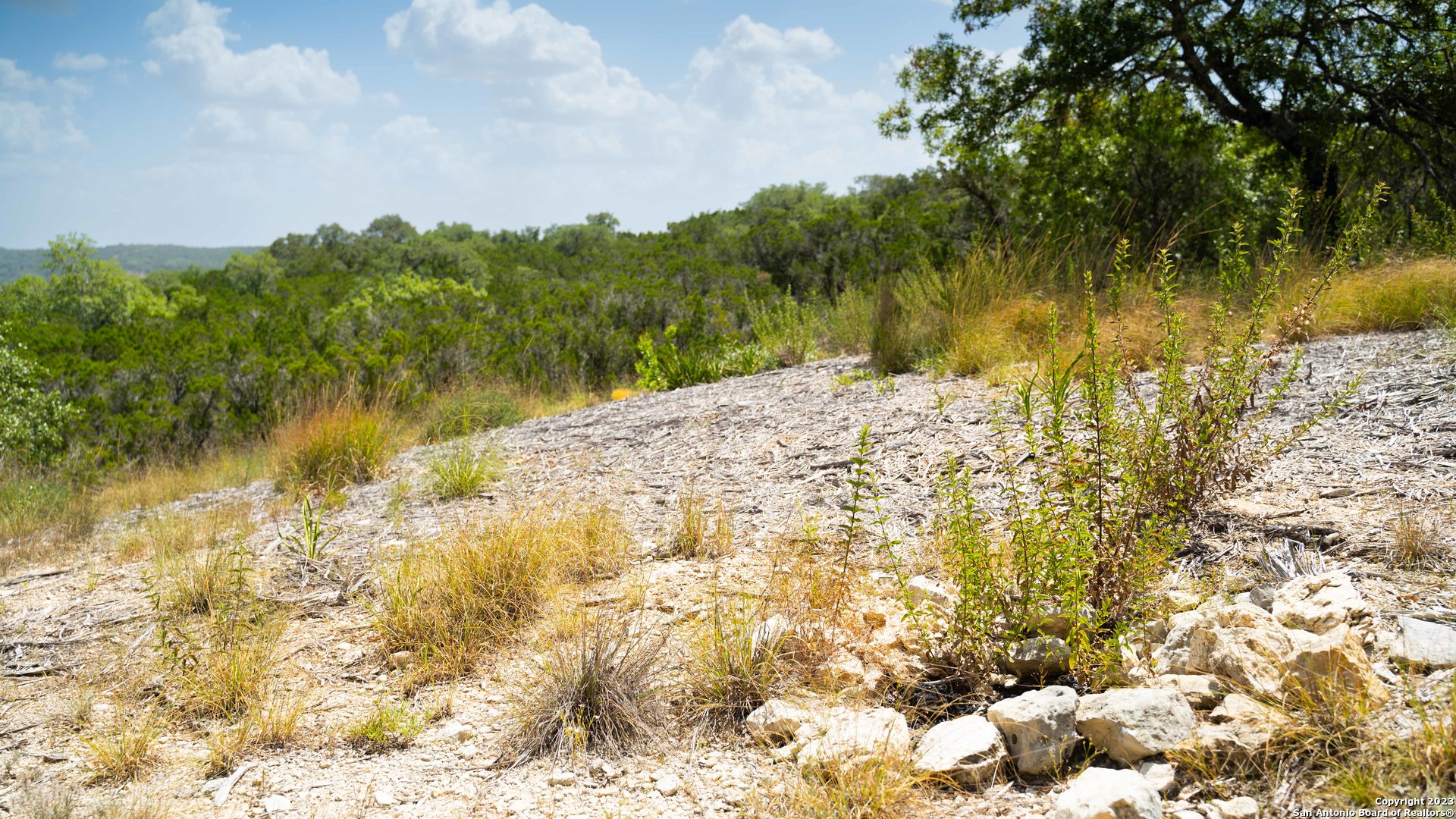 66 Winton Ridge Helotes TX 78023
