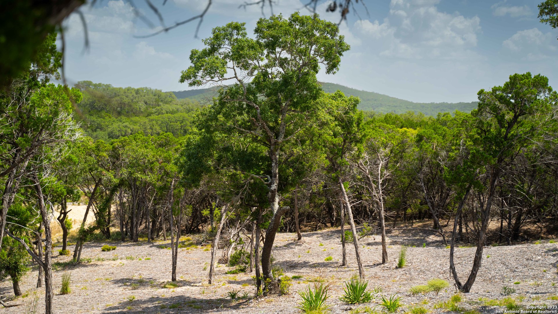 66 Winton Ridge Helotes TX 78023