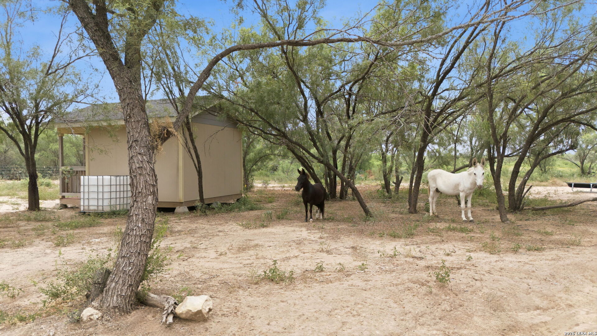 1083 Cr 6610 Devine TX 78016