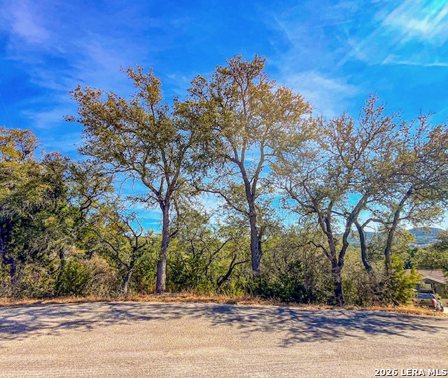 810 La Paloma Canyon Lake TX 78133