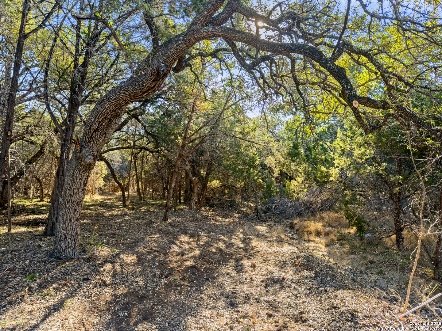 2095 Desiree Street Canyon Lake TX 78133