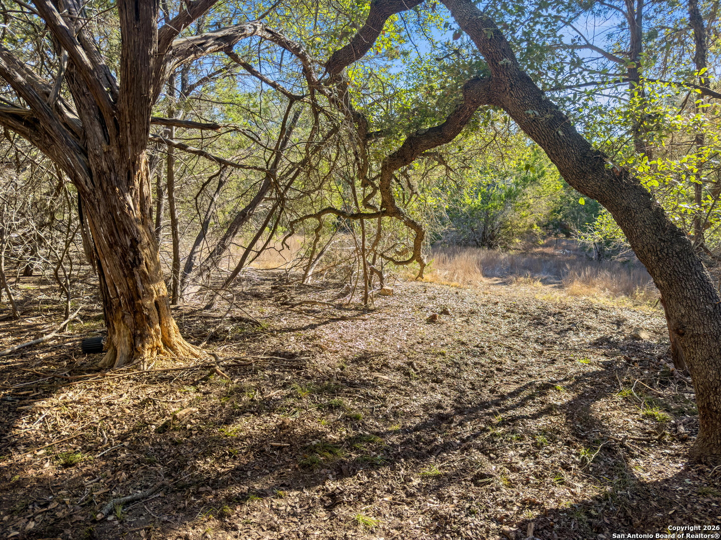 2095 Desiree Street Canyon Lake TX 78133