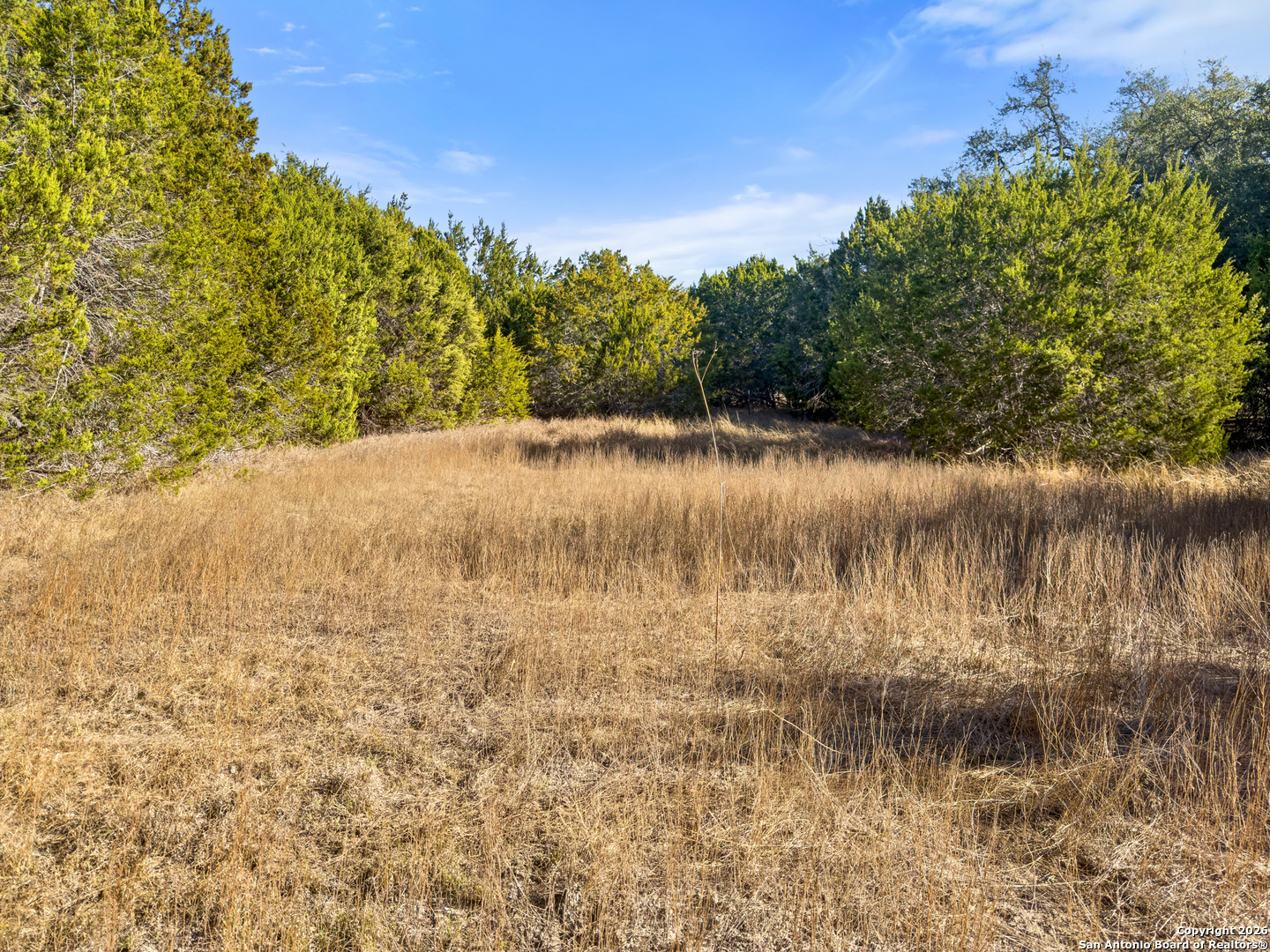 2095 Desiree Street Canyon Lake TX 78133