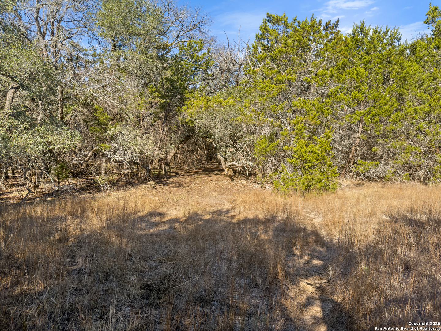 2095 Desiree Street Canyon Lake TX 78133