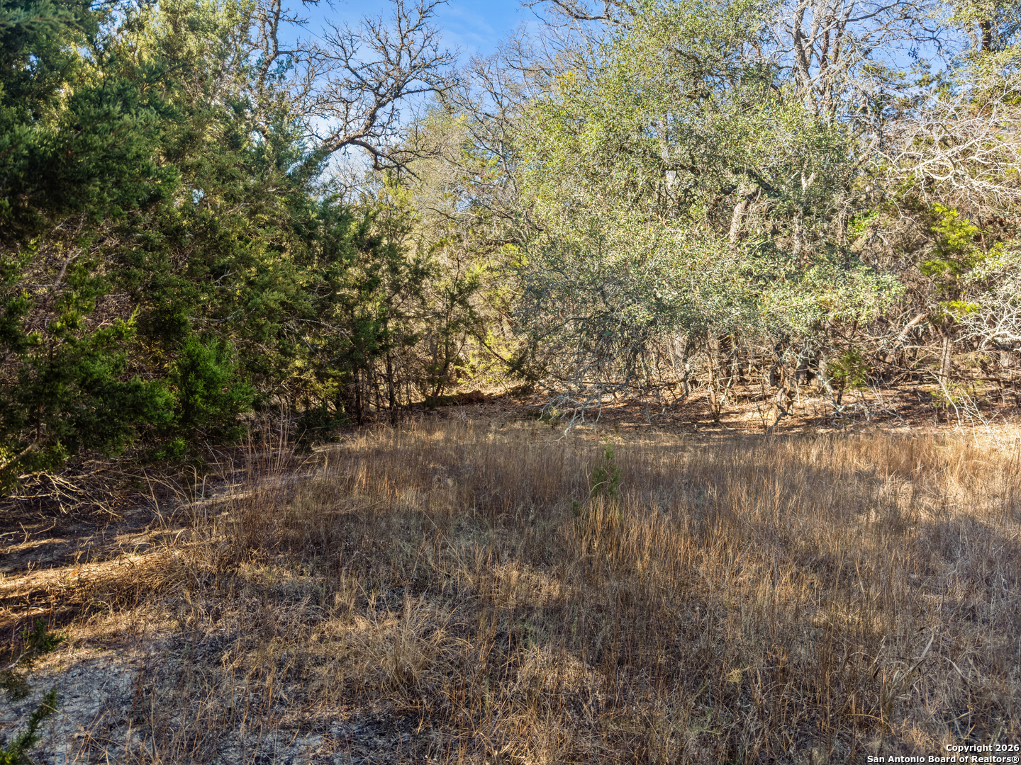 2095 Desiree Street Canyon Lake TX 78133