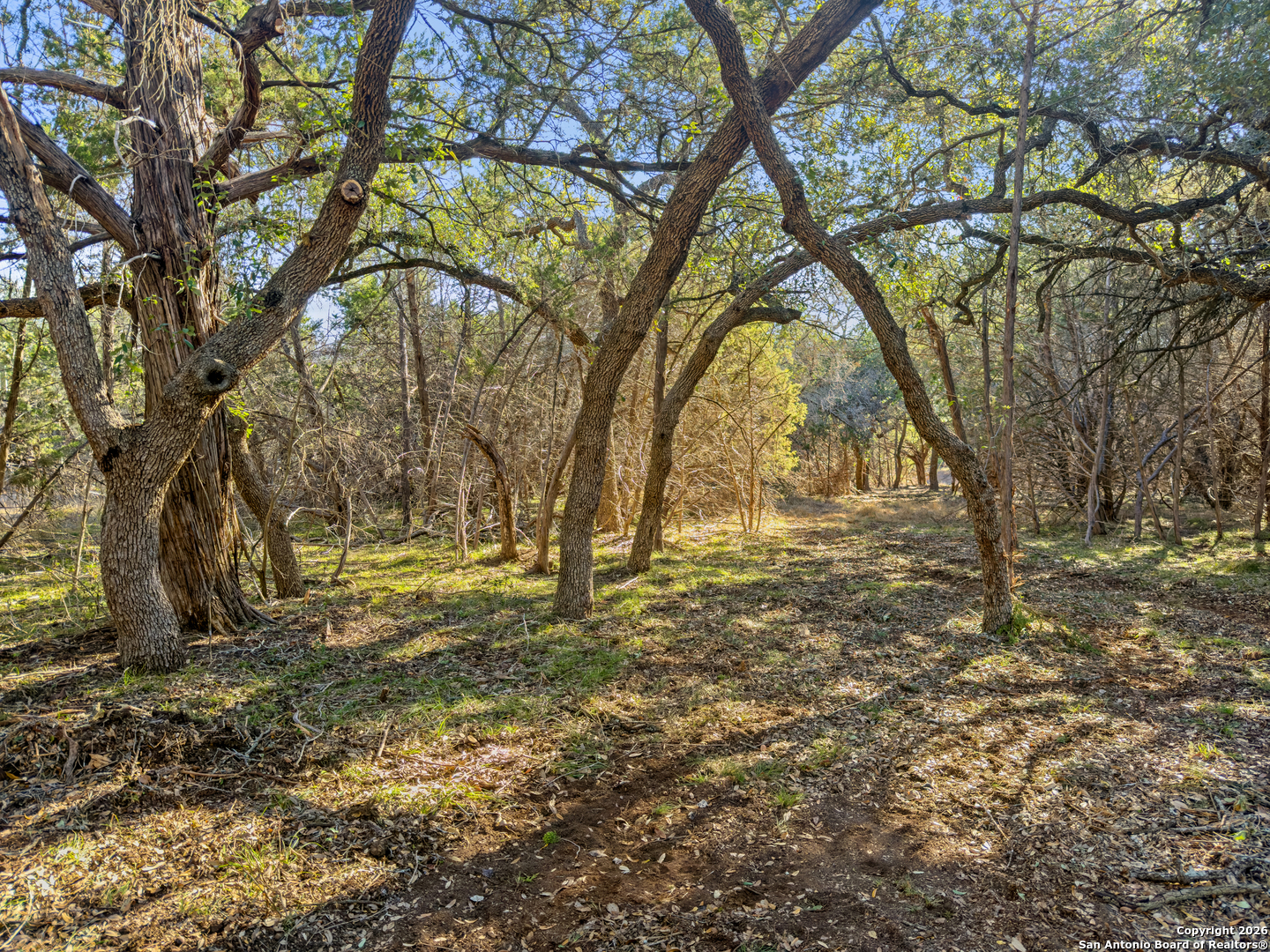 2095 Desiree Street Canyon Lake TX 78133