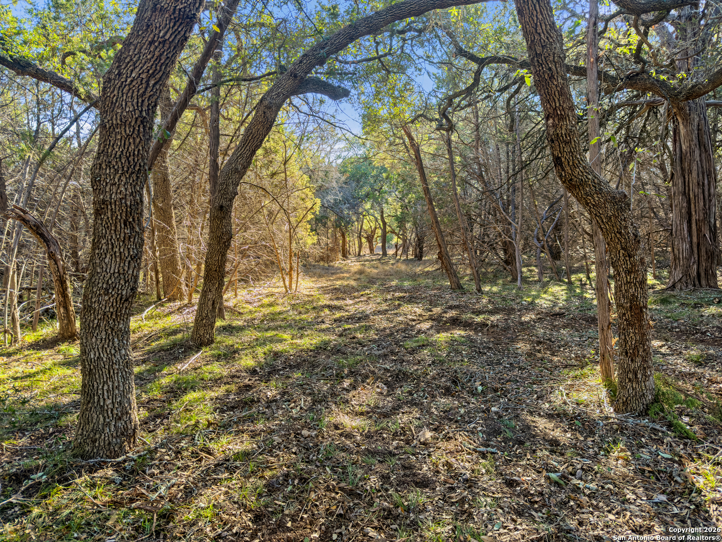 2095 Desiree Street Canyon Lake TX 78133