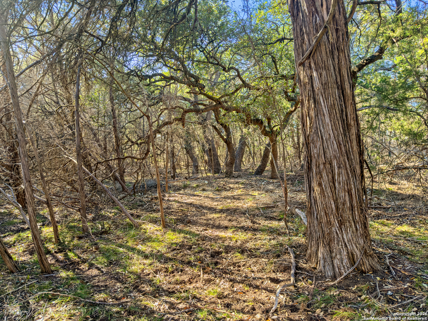 2095 Desiree Street Canyon Lake TX 78133