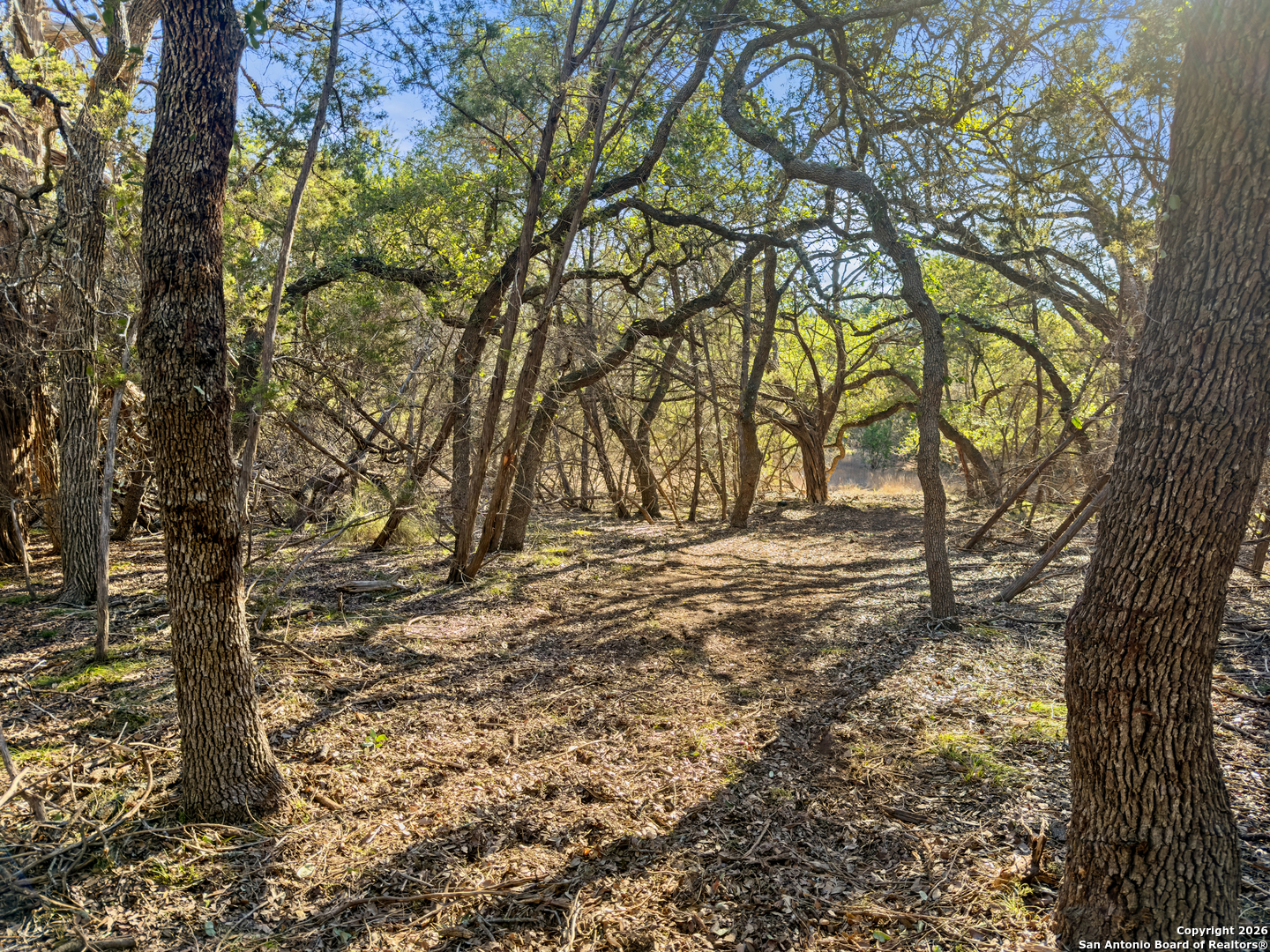 2095 Desiree Street Canyon Lake TX 78133