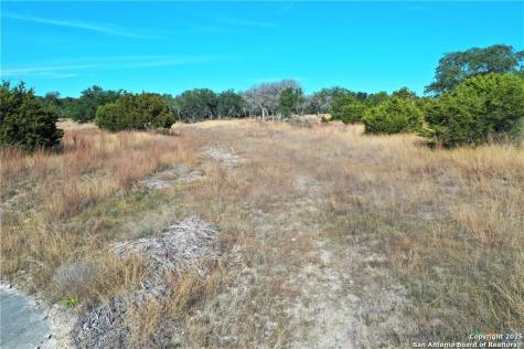 111 Dodder Spring Branch TX 78070