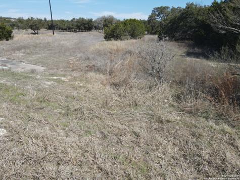 111 Dodder Spring Branch TX 78070