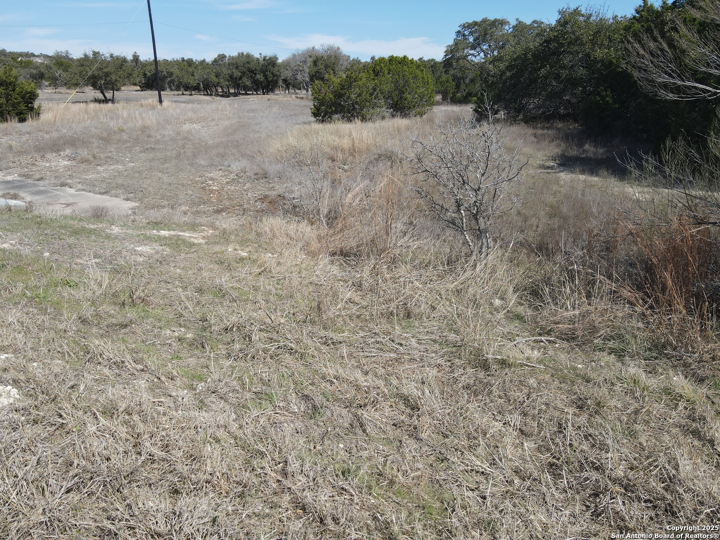 111 Dodder Spring Branch TX 78070