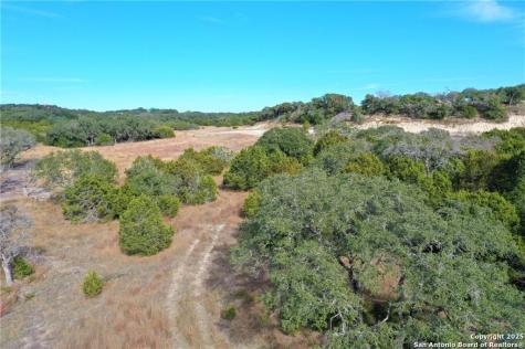 111 Dodder Spring Branch TX 78070