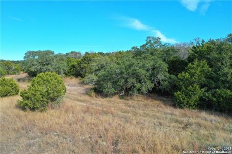 111 Dodder Spring Branch TX 78070