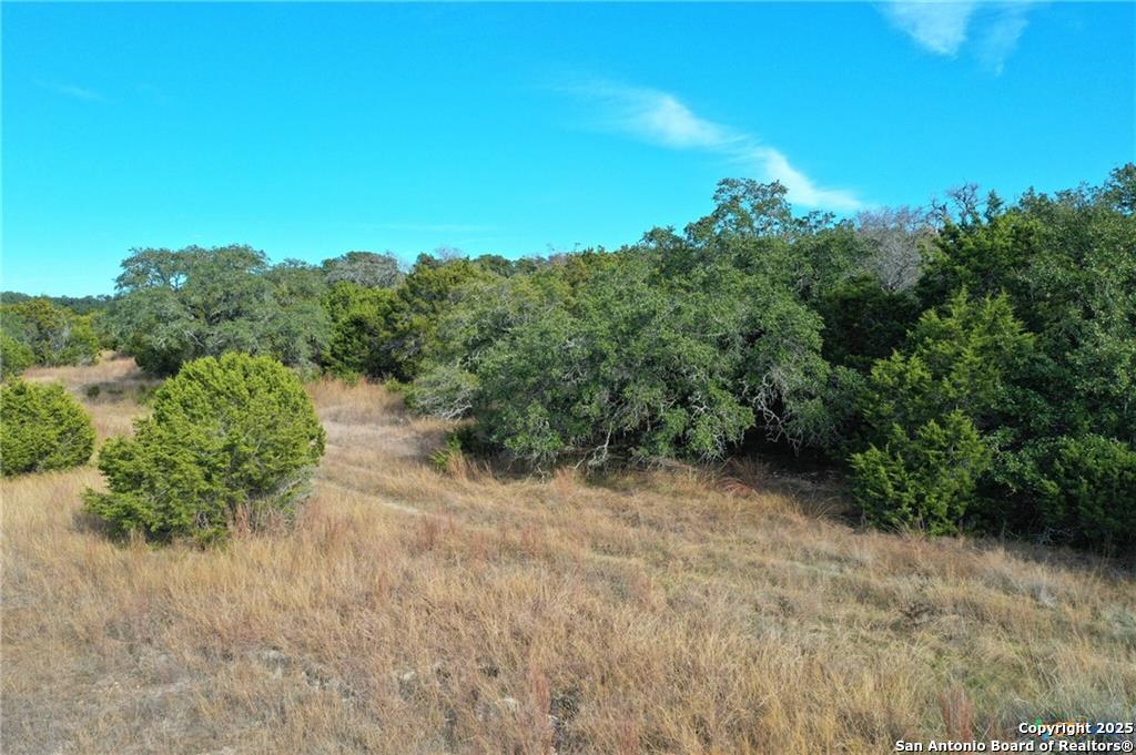 111 Dodder Spring Branch TX 78070