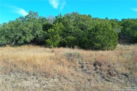 111 Dodder Spring Branch TX 78070