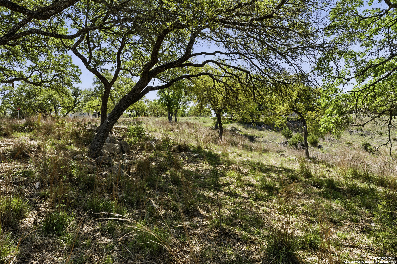 0 Tbd Lot 133 Canyon Lake TX 78133