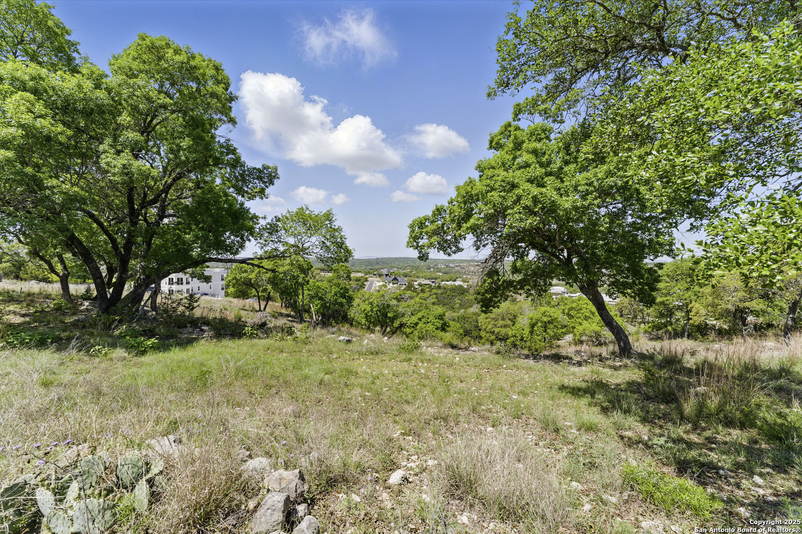0 Tbd Lot 133 Canyon Lake TX 78133