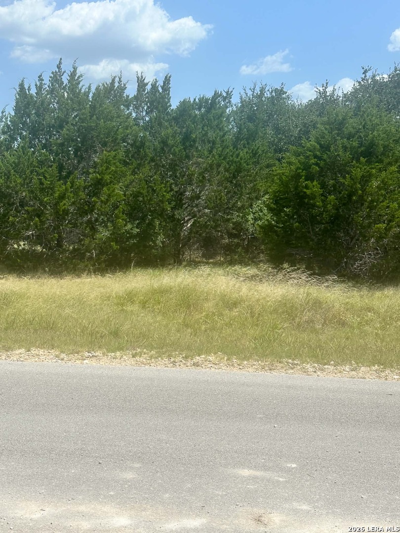 9024 Ashford Spring Branch TX 78070