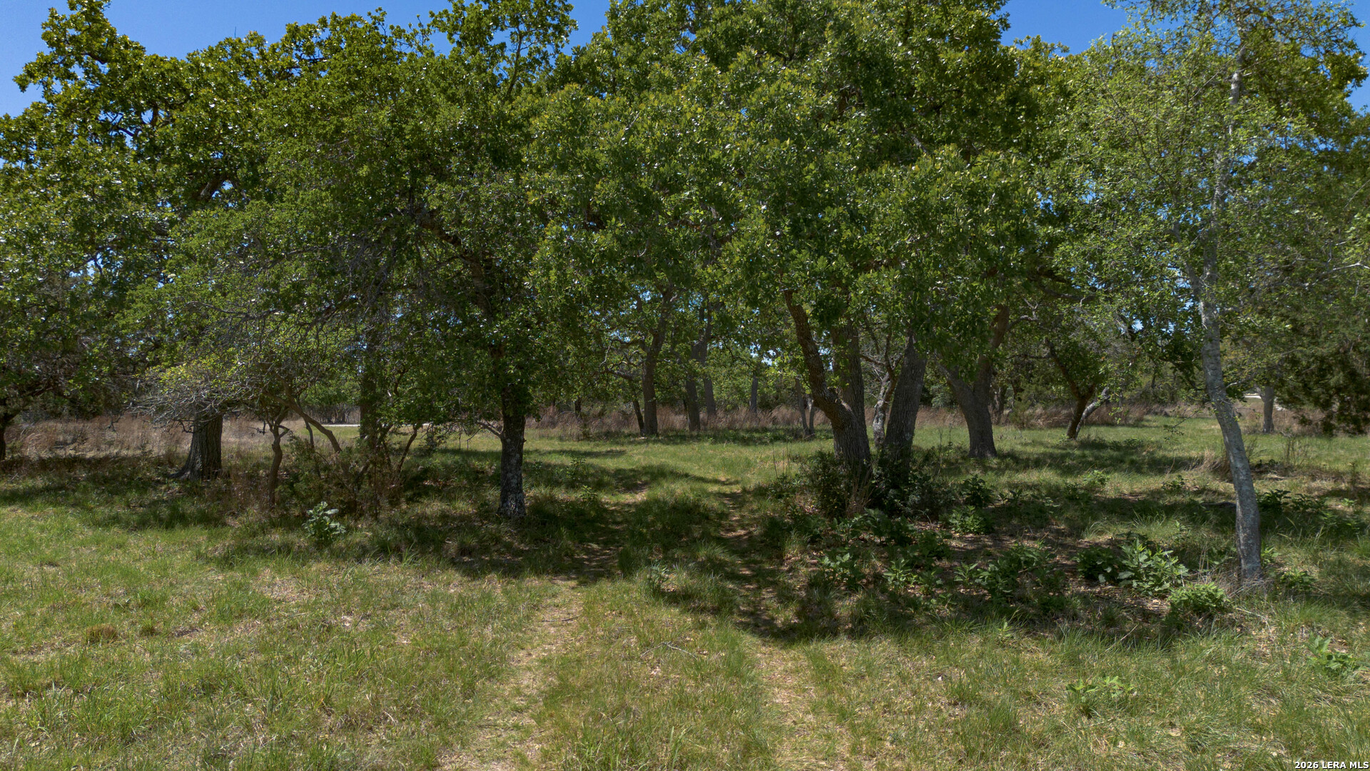2089 Sanctuary Lane Blanco TX 78606