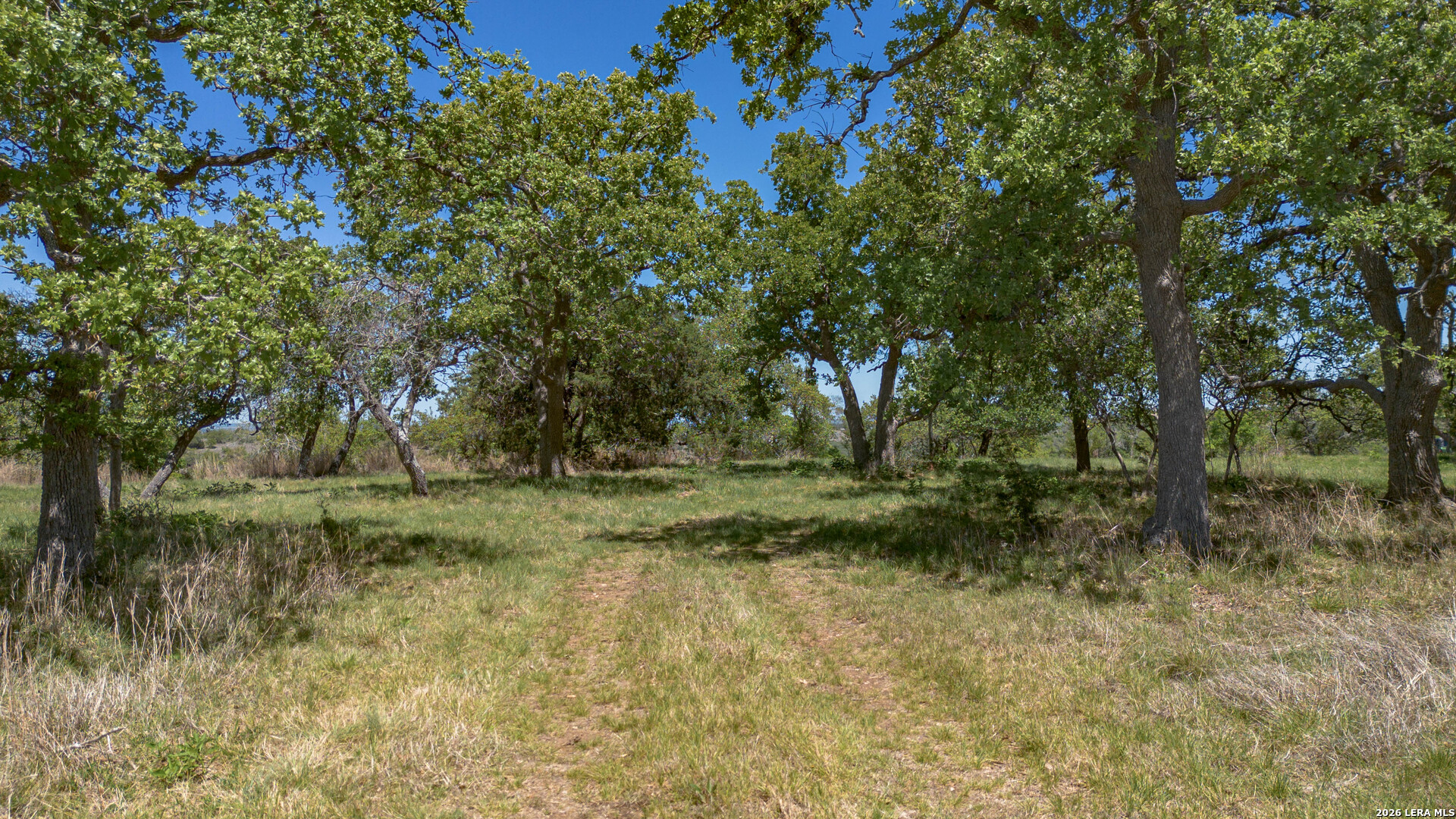 2089 Sanctuary Lane Blanco TX 78606