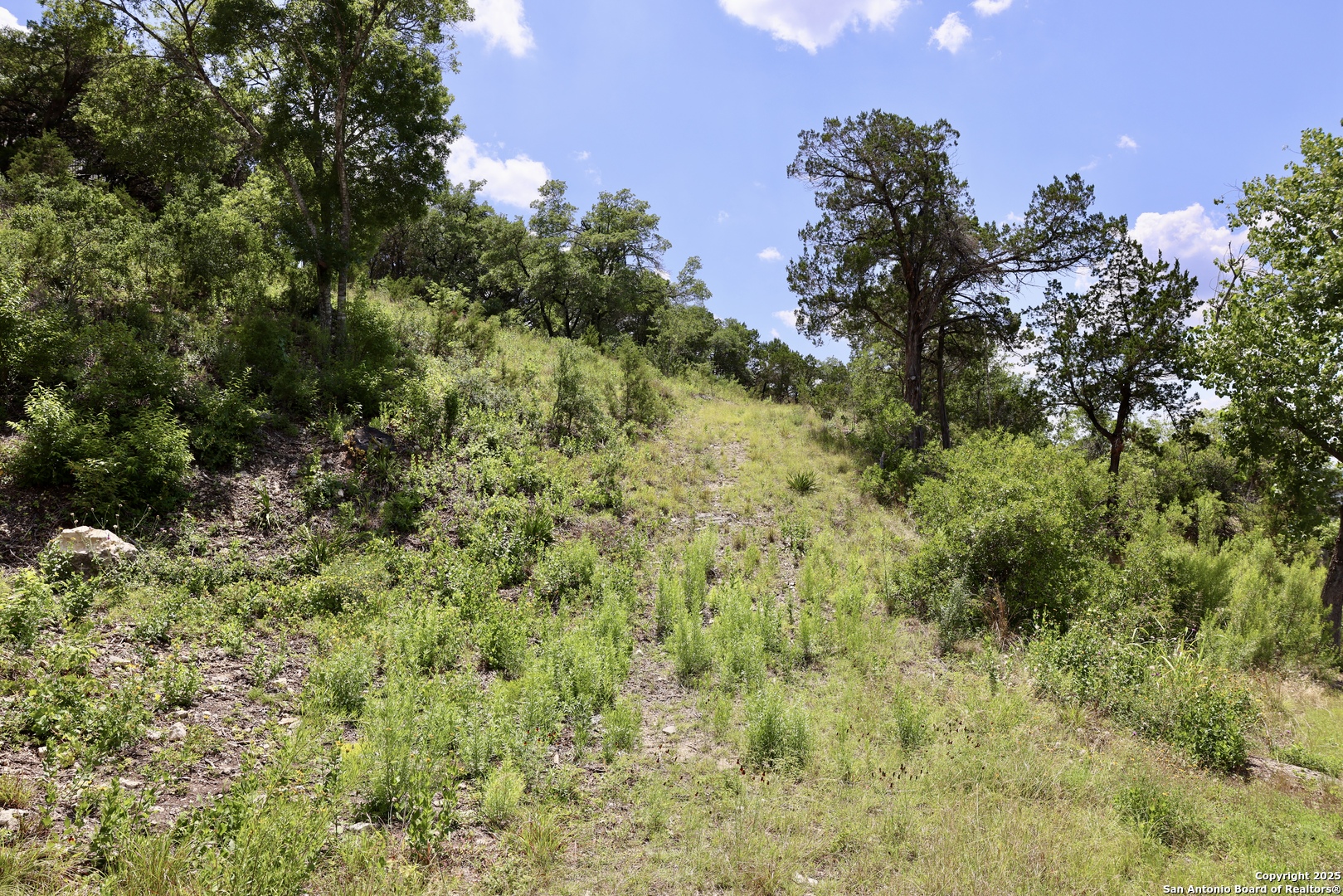 25207 Rocky Hill San Antonio TX 78257