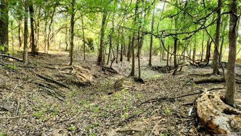 618 Mesquite Pass Seguin TX 78155