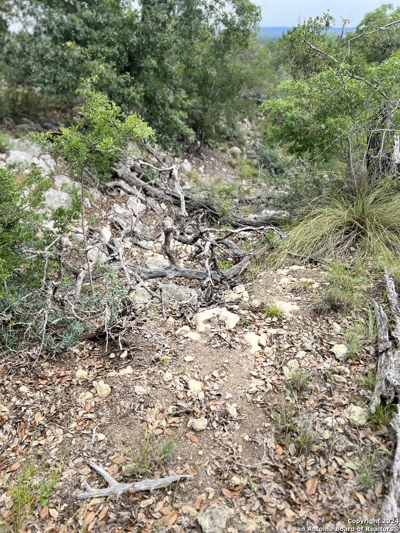 Tract 98 Winans Creek Ranch Bandera TX 78003