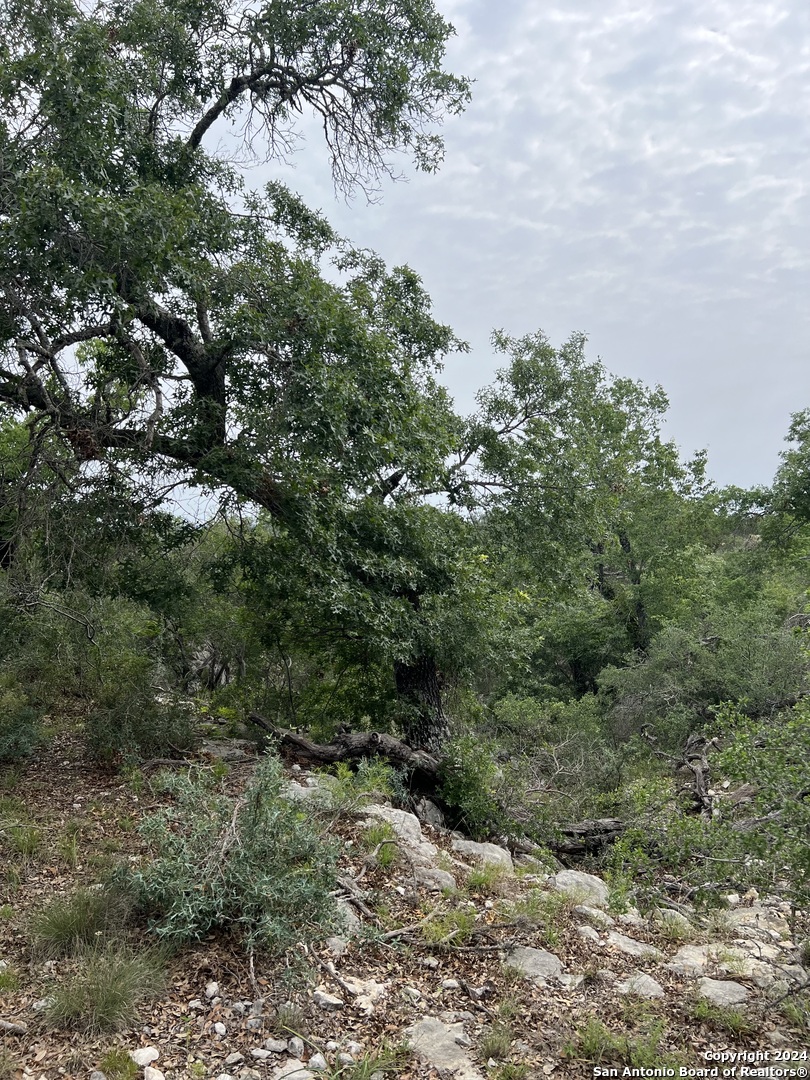Tract 98 Winans Creek Ranch Bandera TX 78003