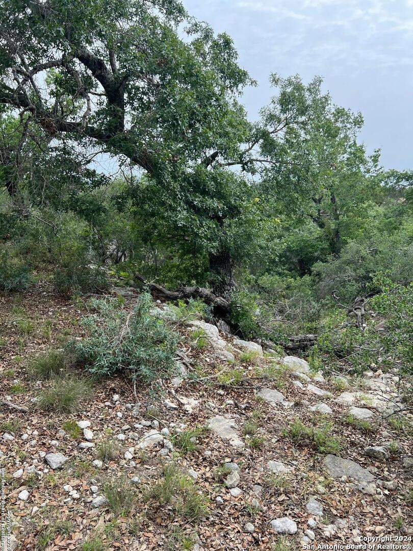 Tract 98 Winans Creek Ranch Bandera TX 78003