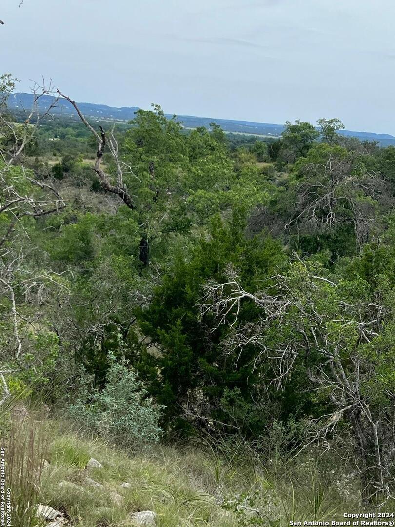 Tract 98 Winans Creek Ranch Bandera TX 78003