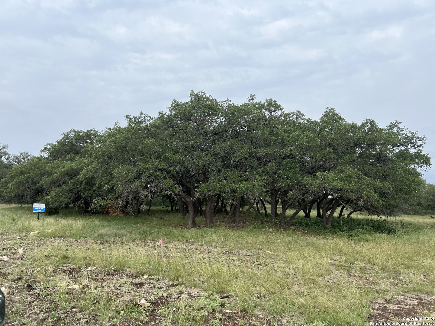 Tract 98 Winans Creek Ranch Bandera TX 78003