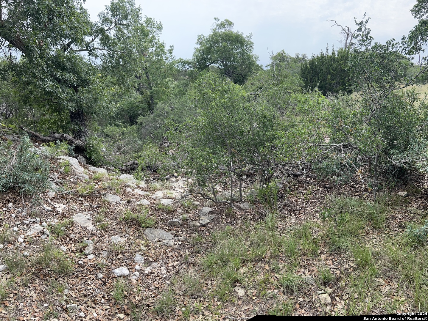 Tract 98 Winans Creek Ranch Bandera TX 78003