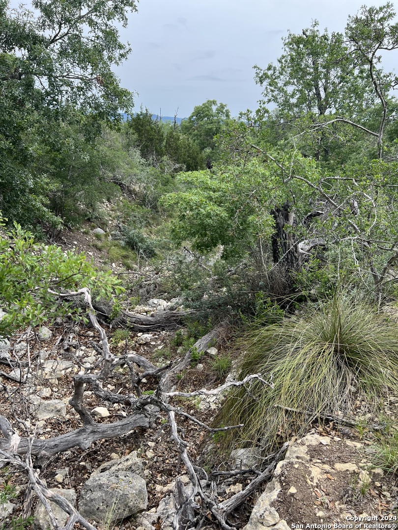Tract 98 Winans Creek Ranch Bandera TX 78003