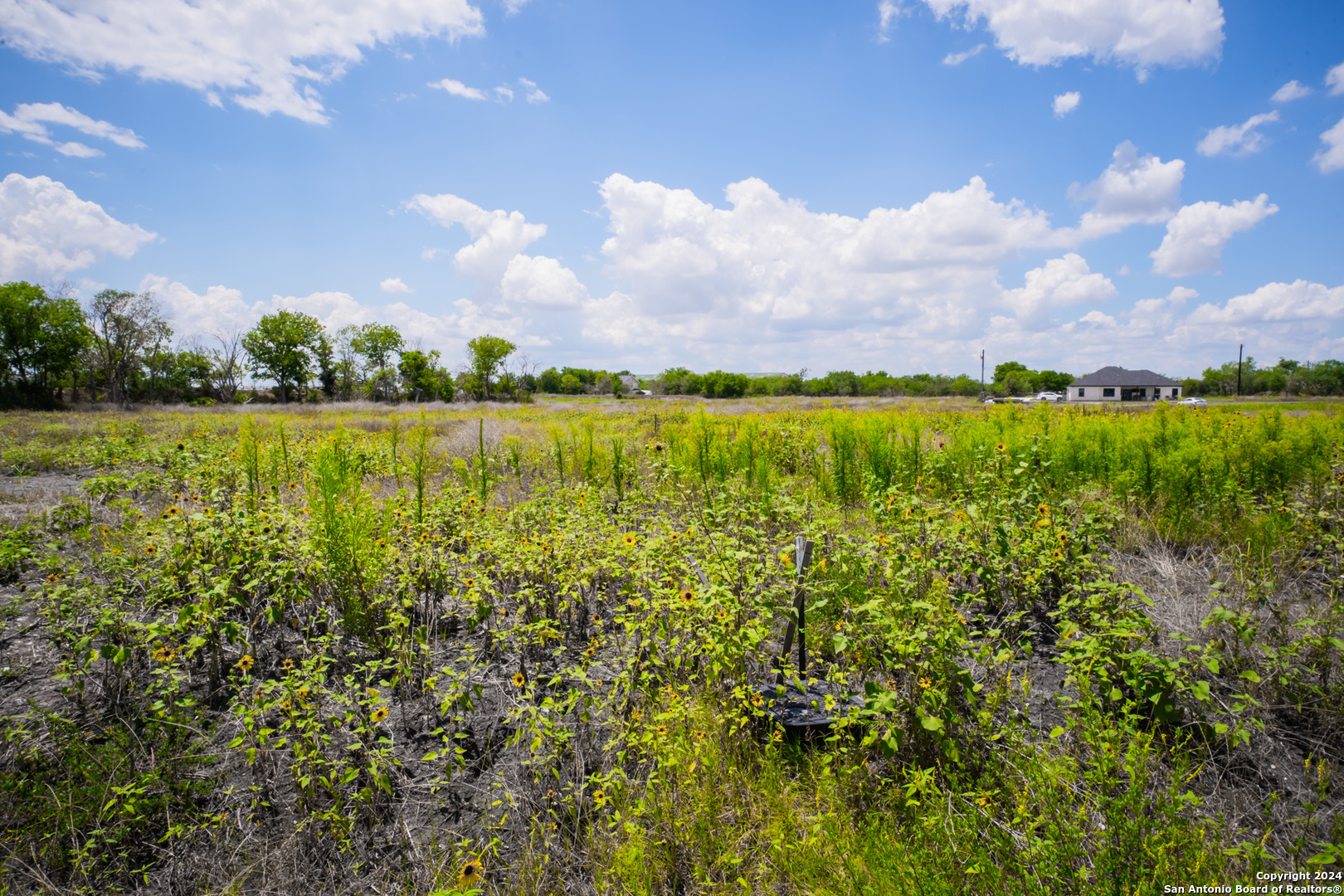 208 Farmhouse Marion TX 78124