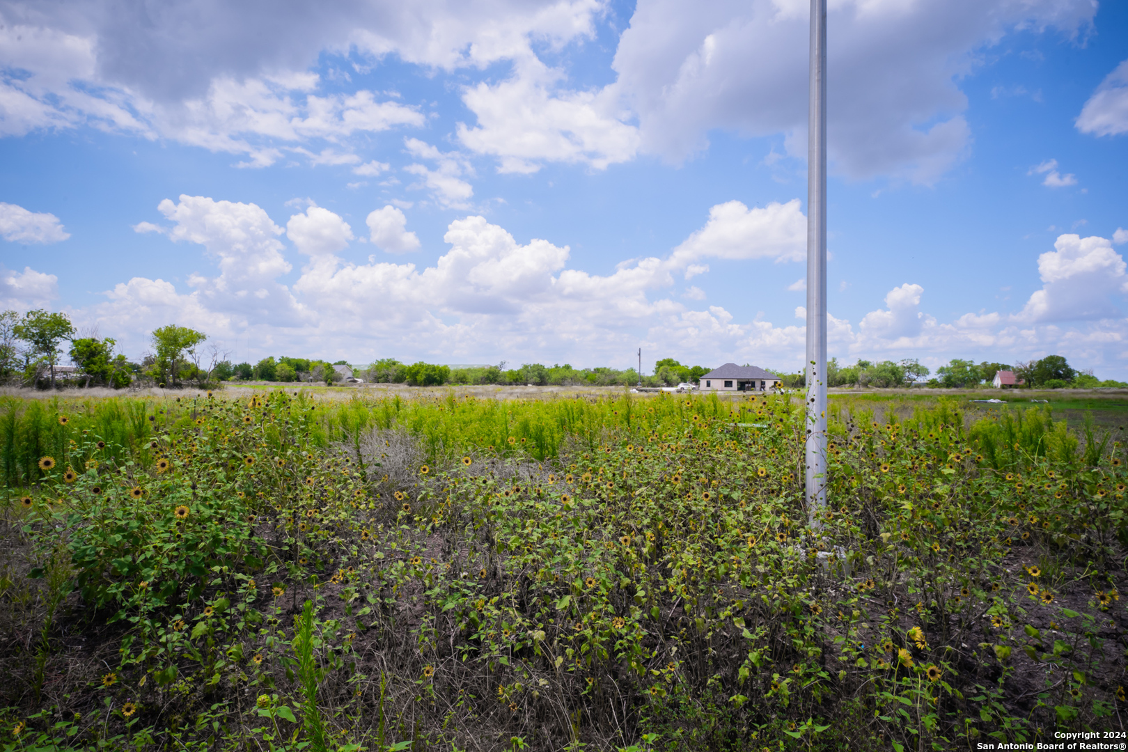 208 Farmhouse Marion TX 78124