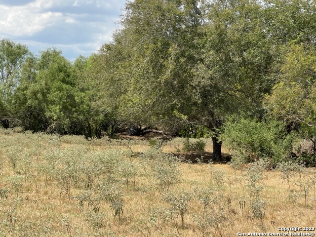 1039 County Road 232 Floresville TX 78114