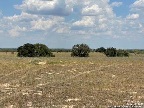 1039 County Road 232 Floresville TX 78114