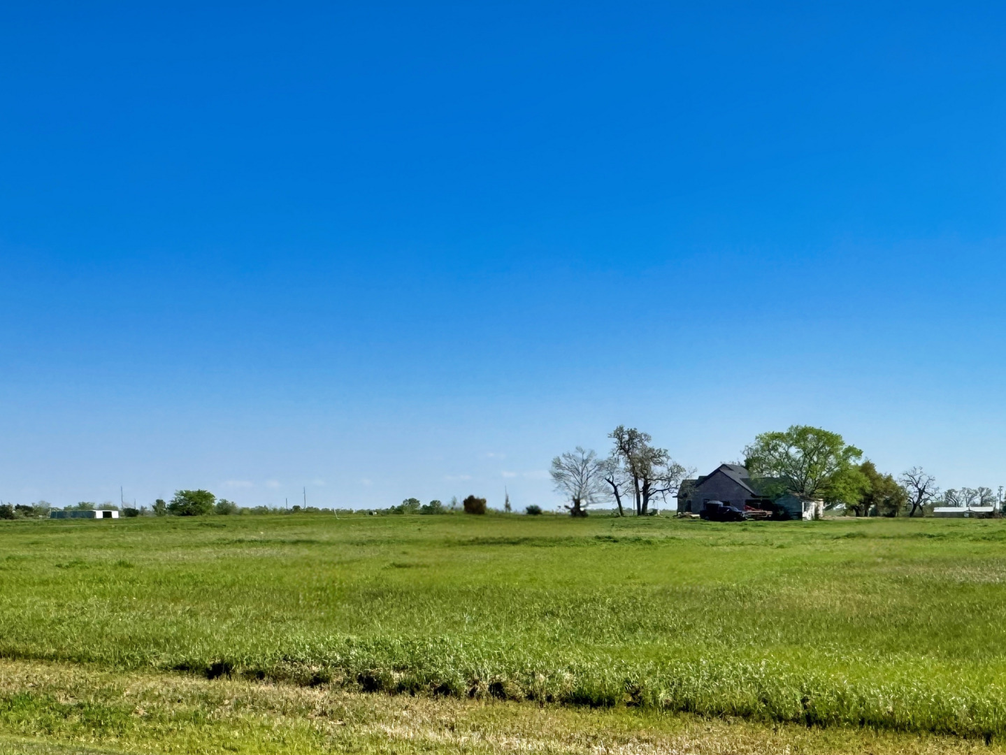 10005 Hidden Pond Drive Iola TX 77861