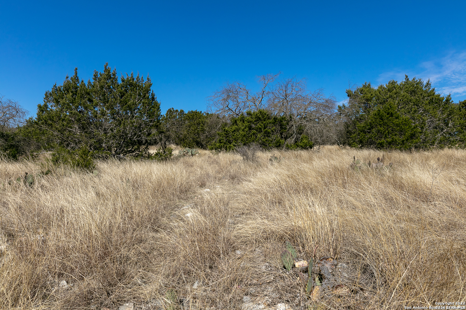 Lot 15 Pr 2535 Mico TX 78056