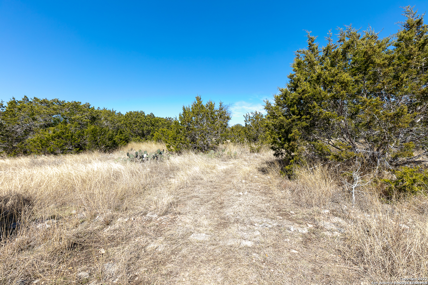 Lot 15 Pr 2535 Mico TX 78056
